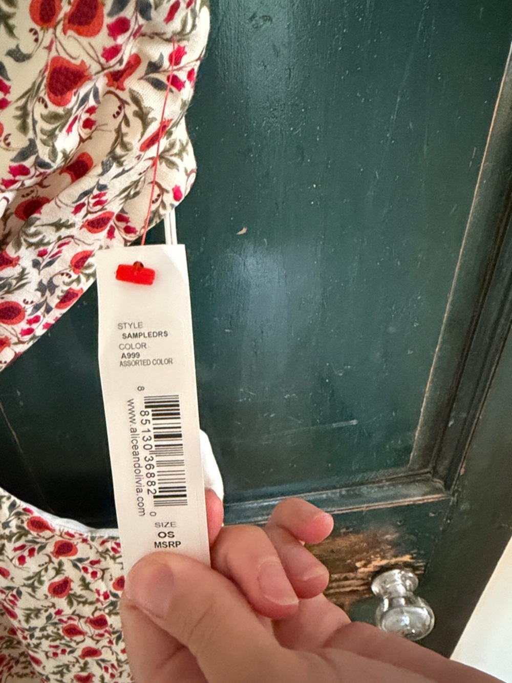 NWT Alice + Olivia Cream Maxi Dress with Red Floral Print